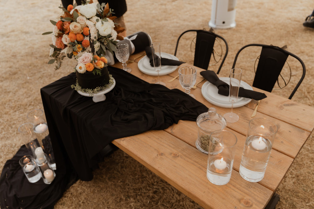 sunset backyard wedding
