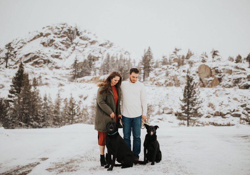 moody morning engagement