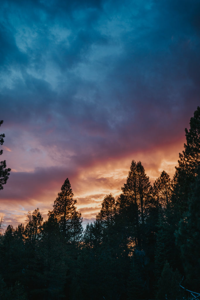 tahoe wedding photographer