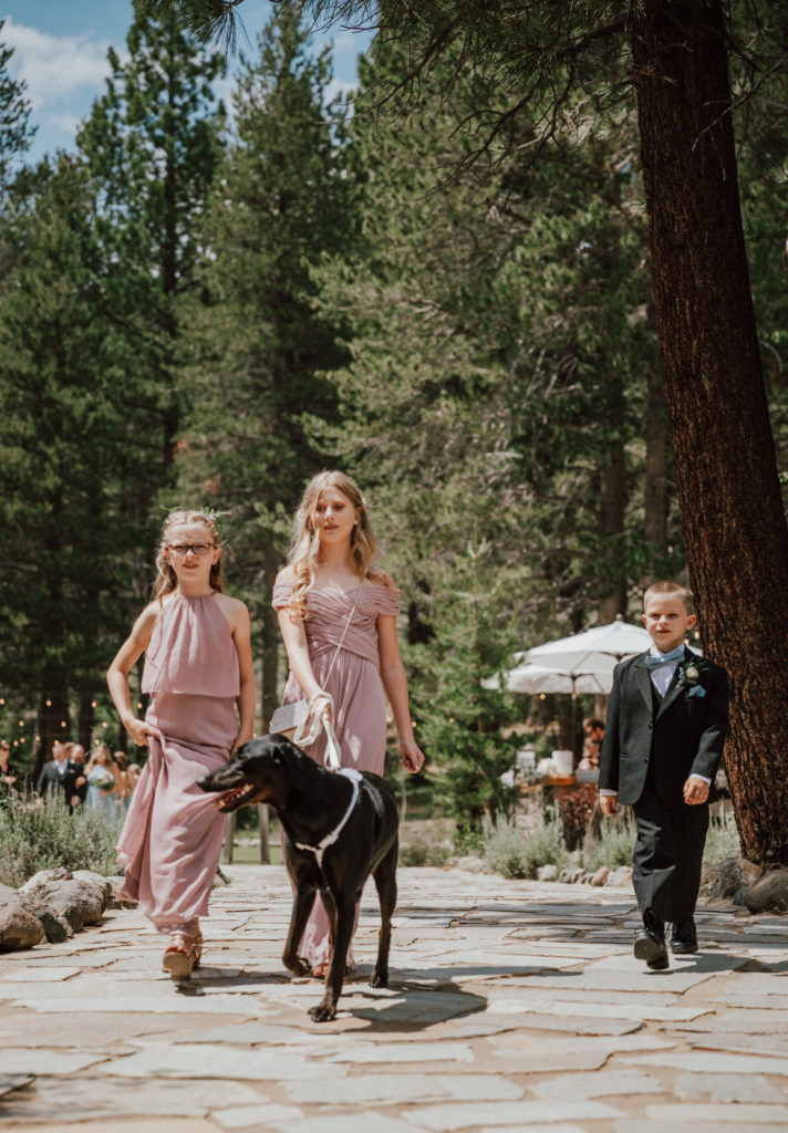 tahoe wedding photographer