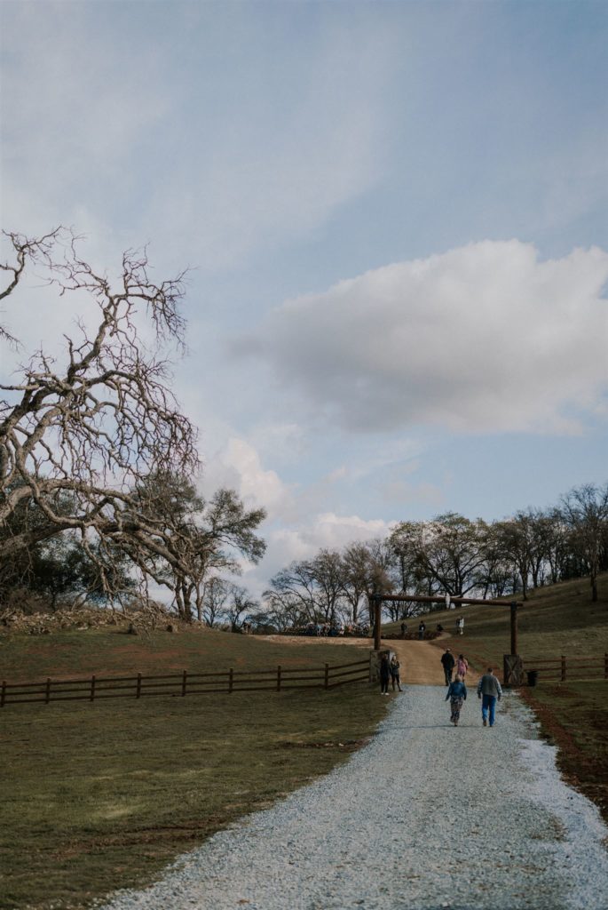 black oak vineyards wedding